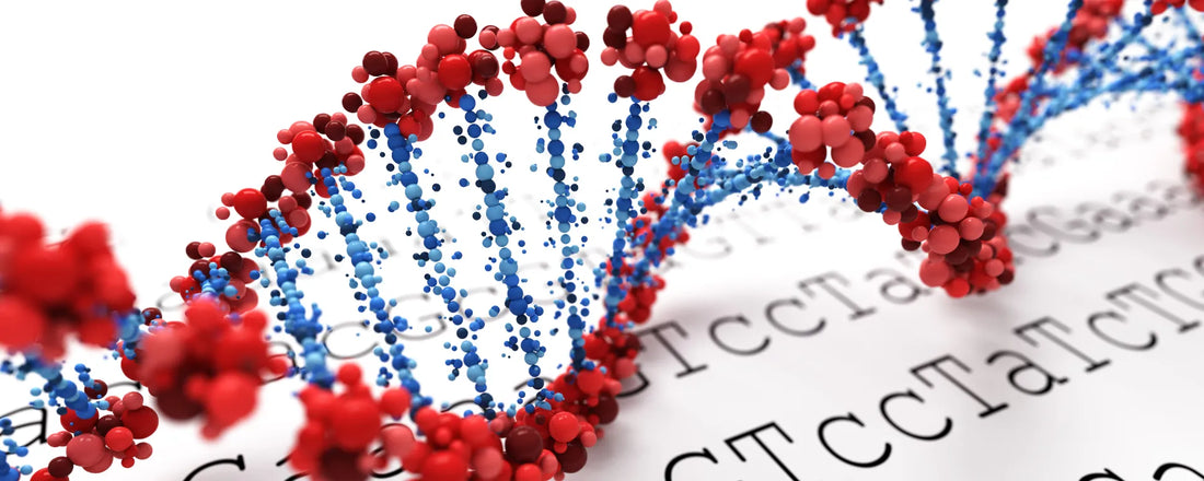 Unlock Your Health's Secrets: A Guide to Direct-to-Consumer Genetic Testing in Singapore