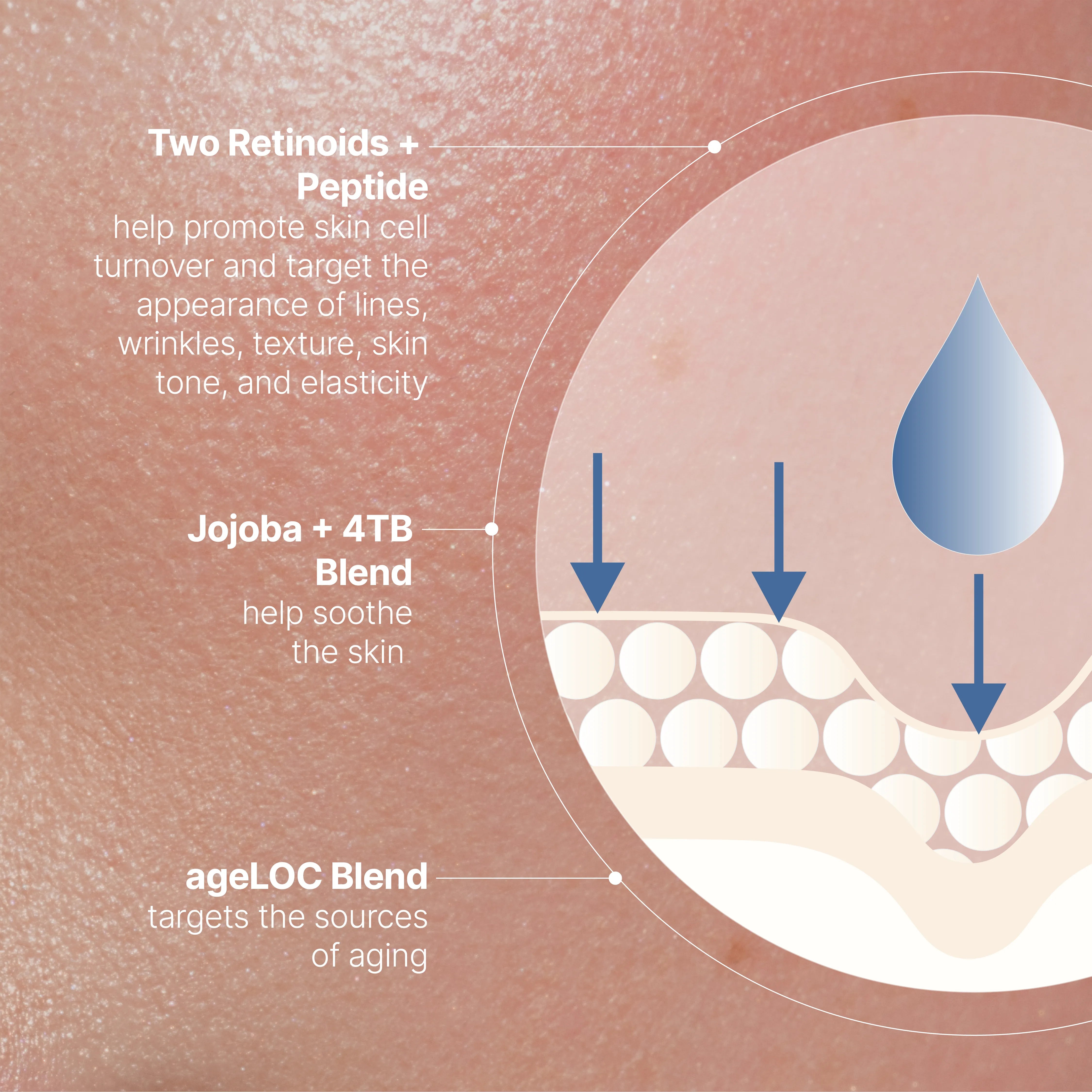 LP ageLOC Tru Face Peptide Retinol Complex Improves Face