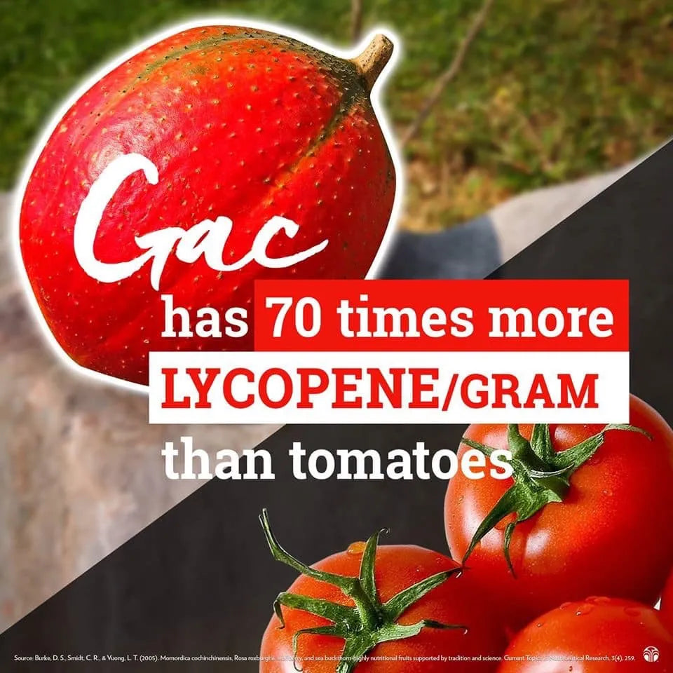 Singapore NuSkin Pharmanex G3 70 times Tomato Lycopene