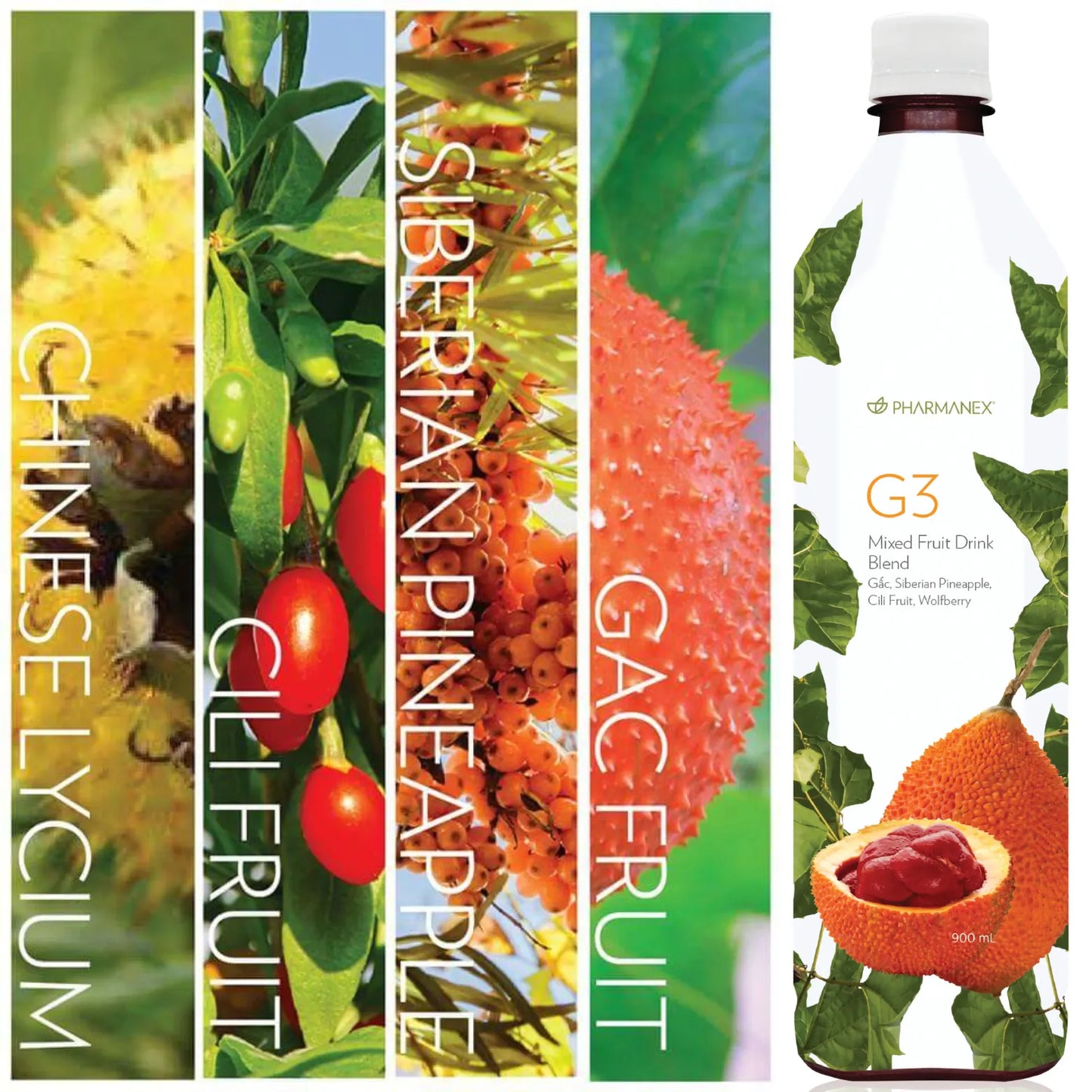 Singapore NuSkin Pharmanex G3 Ingredients