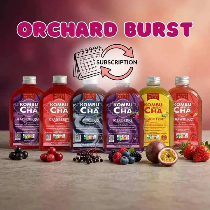 KombuCha bottles with various berries flavors and a subscription icon on a gradient background
