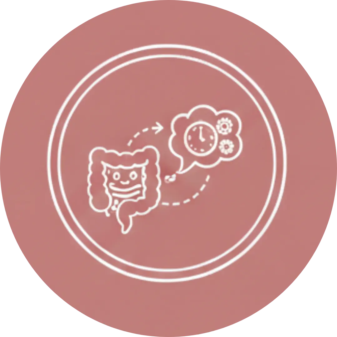 Minimalist line art icon showing the connection between gut health and hormones, representing probiotic kombucha for reducing period bloating and supporting mood.