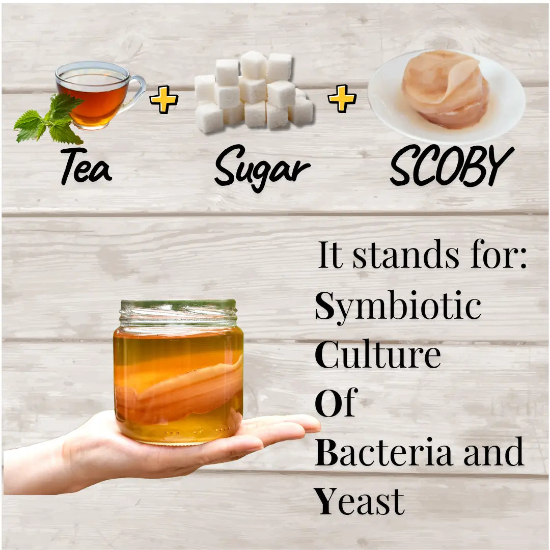 Tea, sugar, and SCOBY with a jar of kombucha on a wooden surface.