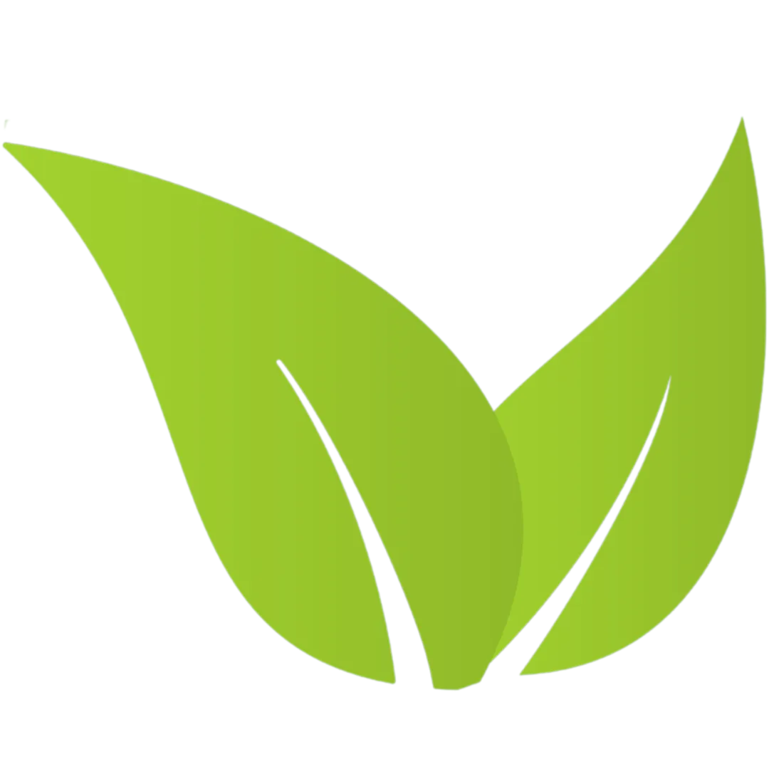 Kombucha Free from Preservatives