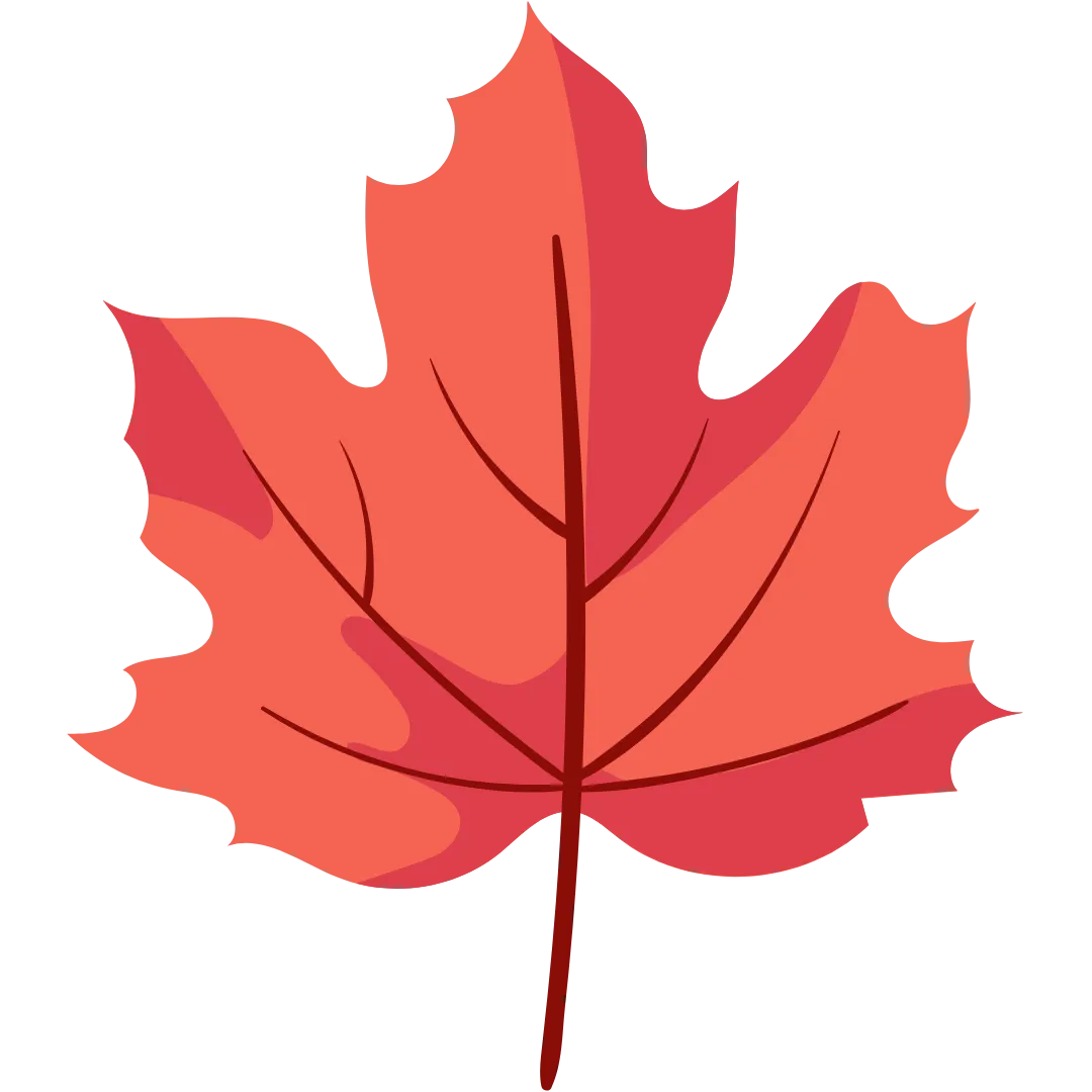 Kombucha No Artificial Sweeteners