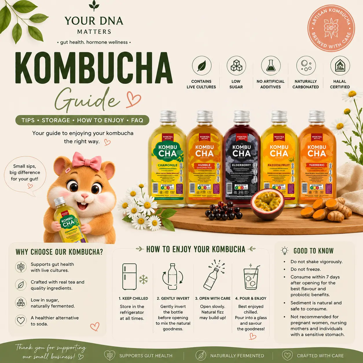 Your DNA Matters Kombucha Guide cover featuring WhiskTea artisan kombucha with storage, serving and wellness guidance for gut health.